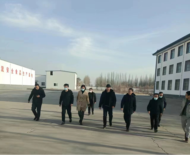 石嘴山市副市長(zhǎng)、惠農(nóng)區(qū)委書記王宇翔蒞臨寧夏興康恒潤(rùn)農(nóng)業(yè)科技發(fā)展有限公司調(diào)研