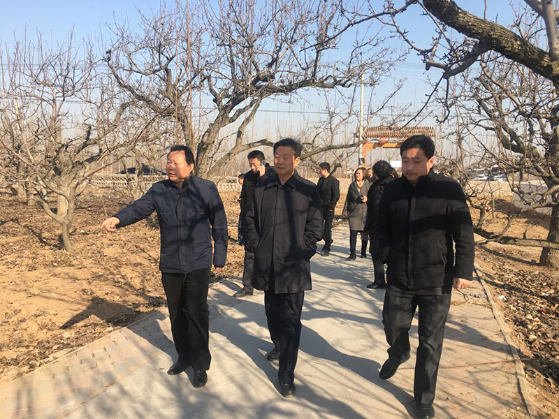 岳氏集團到河北魏縣農(nóng)業(yè)項目進行考察