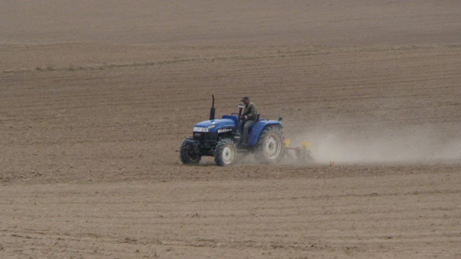 父親節(jié)特輯｜岳氏家族里的“父親力”：從血脈到事業(yè)，我們這樣讀懂“爸爸”